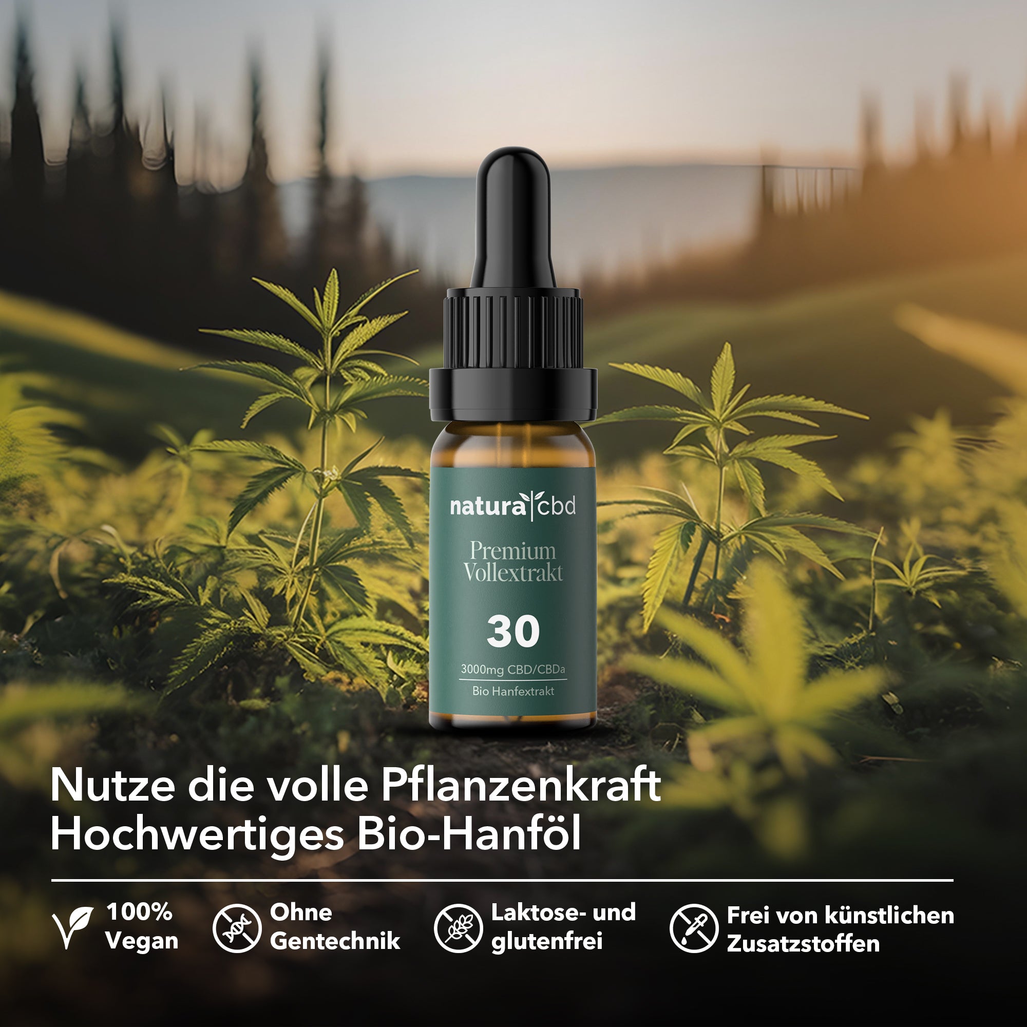 Bio CBD Premium Vollextrakt 30%